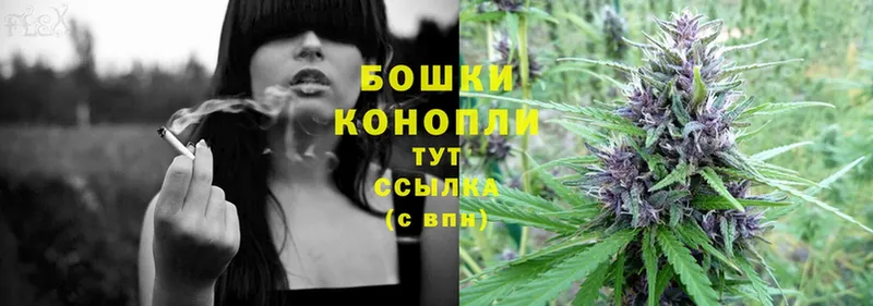 Бошки марихуана THC 21%  наркота  Боровск 